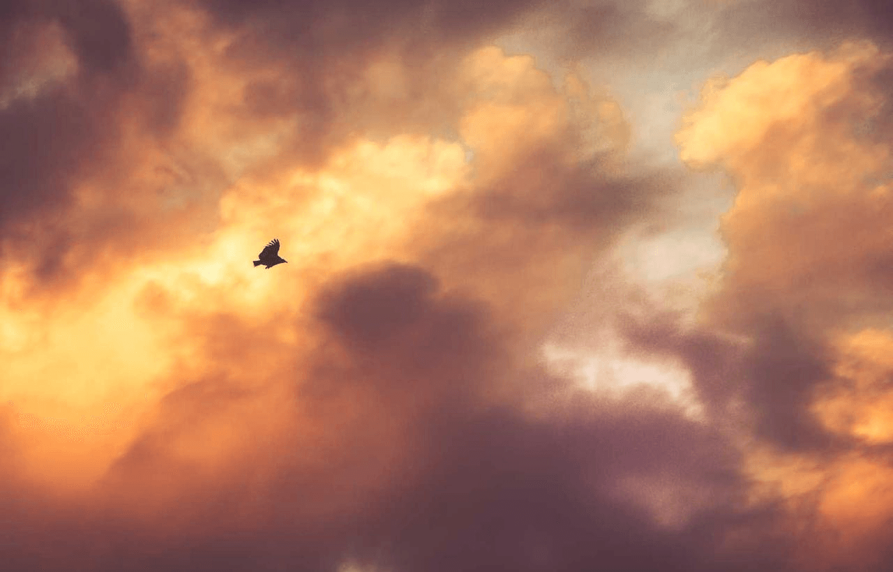 Иллюстрация: visual